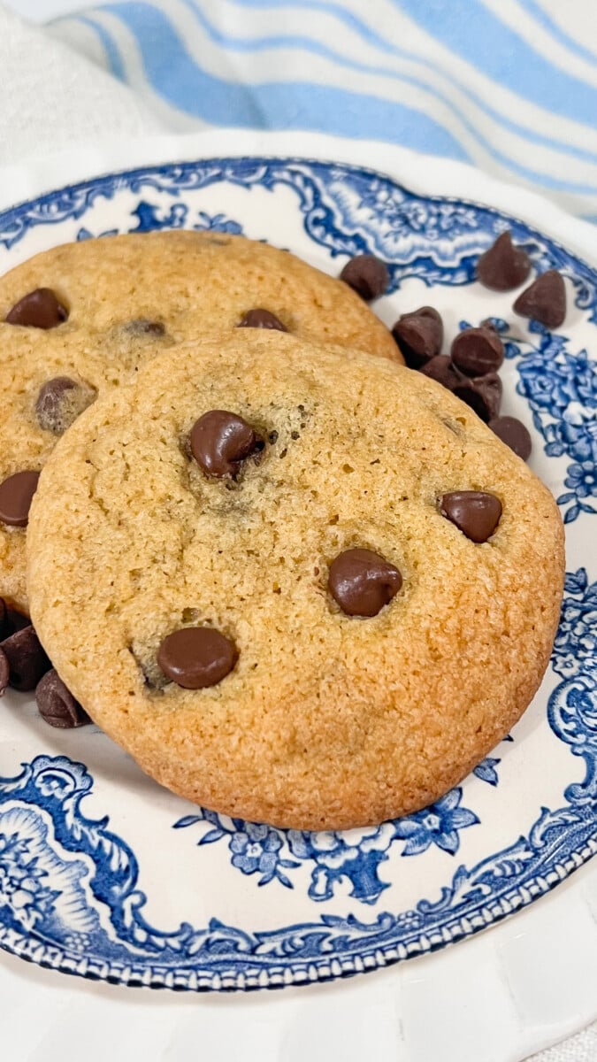 IMG_6326 Sourdough Discard Chocolate Chip Cookies  