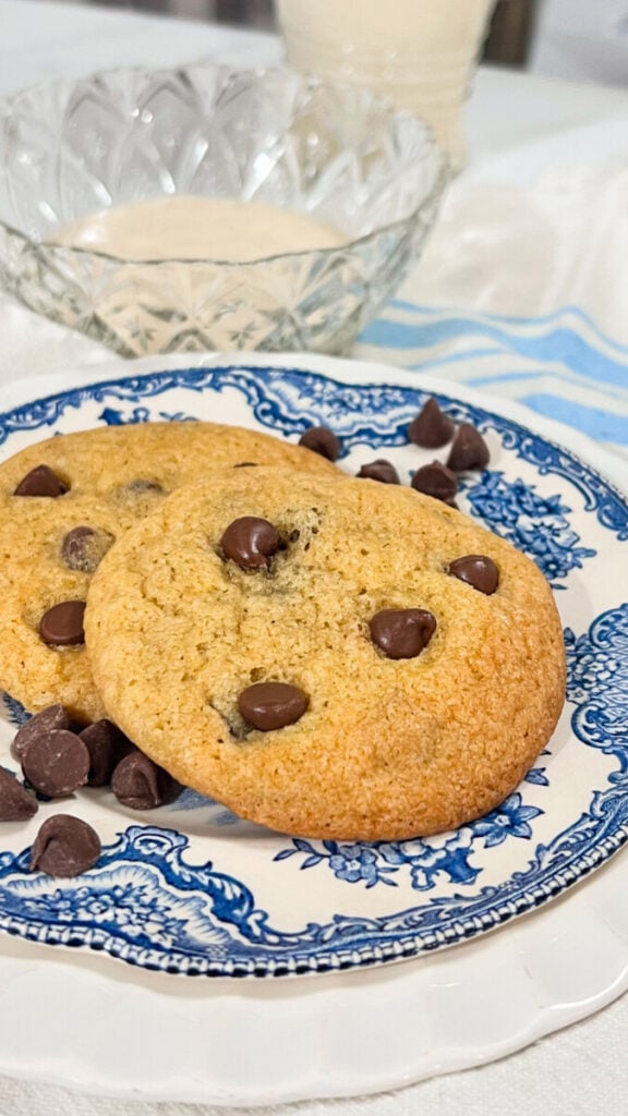  IMG_6327-576x1024 Sourdough Discard Chocolate Chip Cookies  