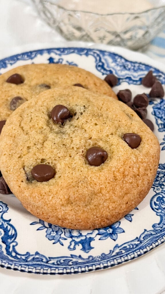  IMG_6331-576x1024 Sourdough Discard Chocolate Chip Cookies  