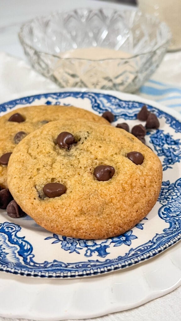  IMG_6332-576x1024 Sourdough Discard Chocolate Chip Cookies  