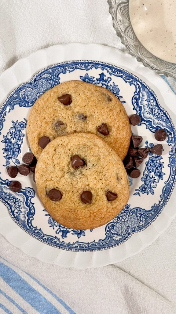  IMG_6333-576x1024 Sourdough Discard Chocolate Chip Cookies  