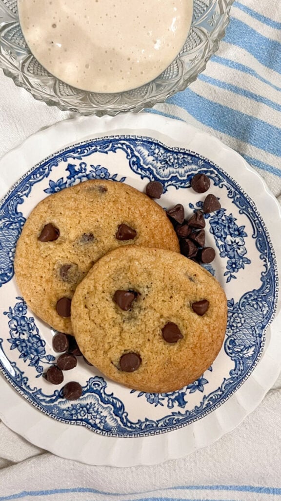  IMG_6334-576x1024 Sourdough Discard Chocolate Chip Cookies  
