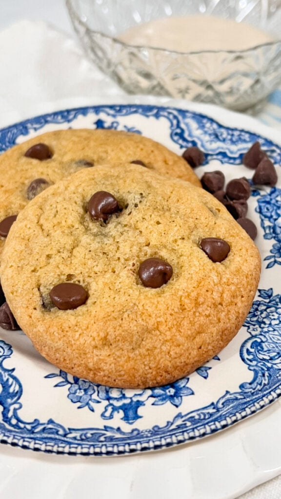  IMG_6340-576x1024 Sourdough Discard Chocolate Chip Cookies  