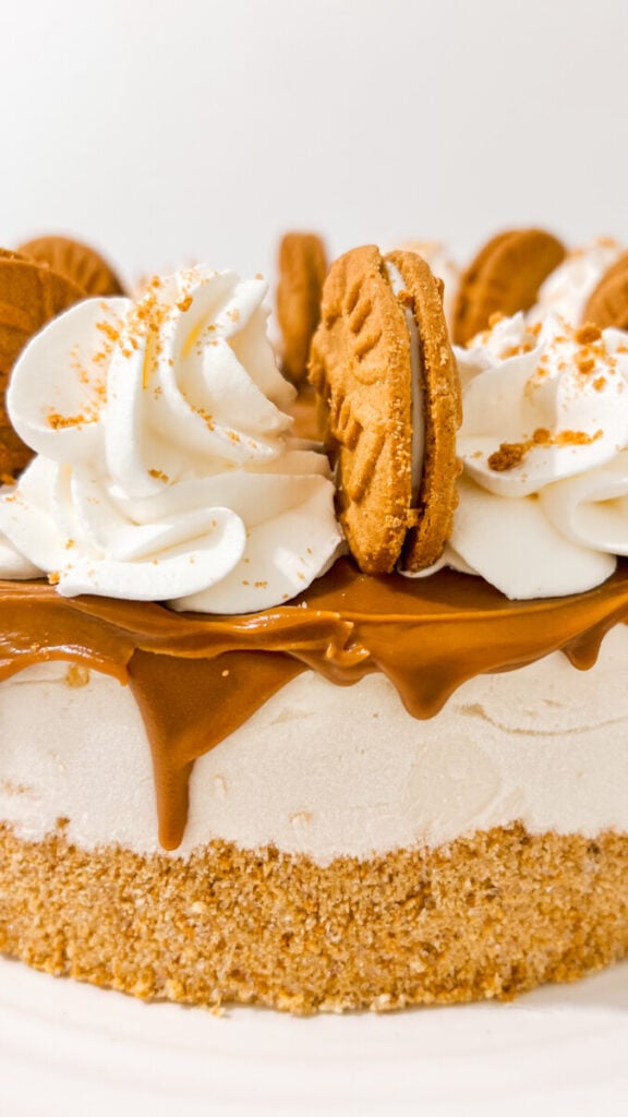  IMG_7160-576x1024 No Bake Biscoff Cheesecake  