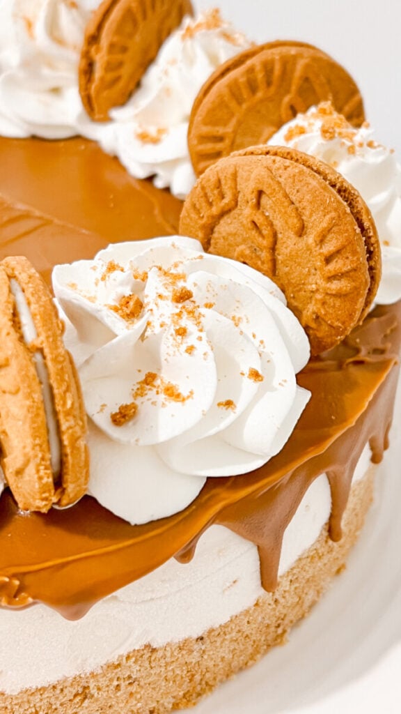  IMG_7177-576x1024 No Bake Biscoff Cheesecake  