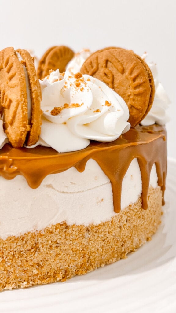  IMG_7178-576x1024 No Bake Biscoff Cheesecake  