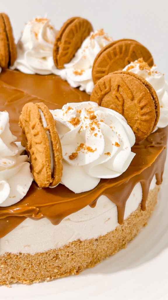  IMG_7179-576x1024 No Bake Biscoff Cheesecake  
