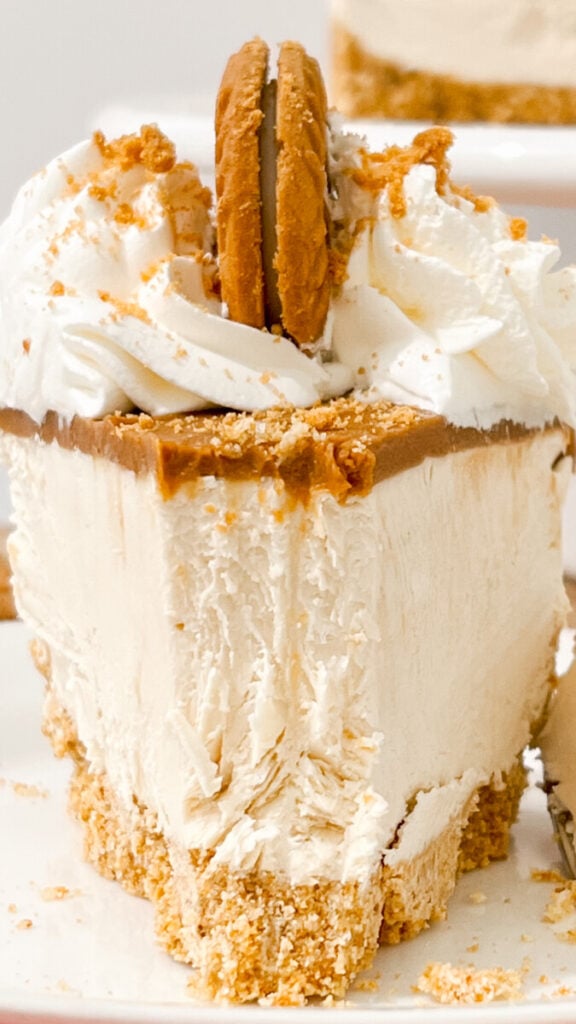  IMG_7262-576x1024 No Bake Biscoff Cheesecake  