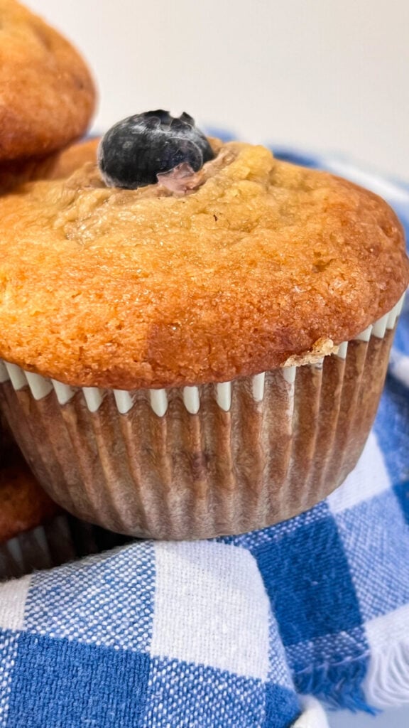  IMG_7490-576x1024 Blueberry Banana Muffins  