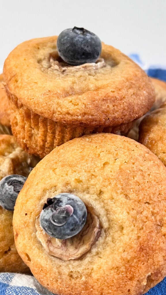  IMG_7495-576x1024 Blueberry Banana Muffins  
