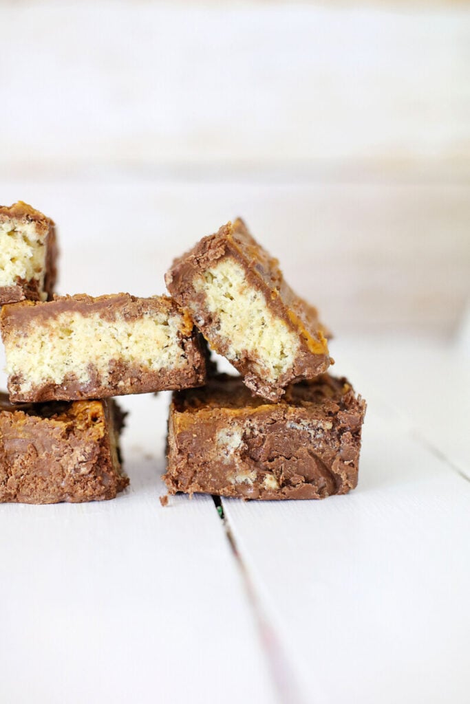  2G0A7738-683x1024 Rice Krispies Treat Peanut Butter Chocolate Fudge  