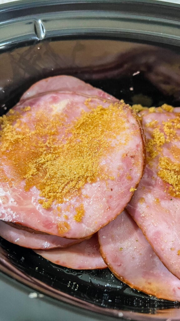  IMG_0059-576x1024 Crockpot Brown Sugar Ham  