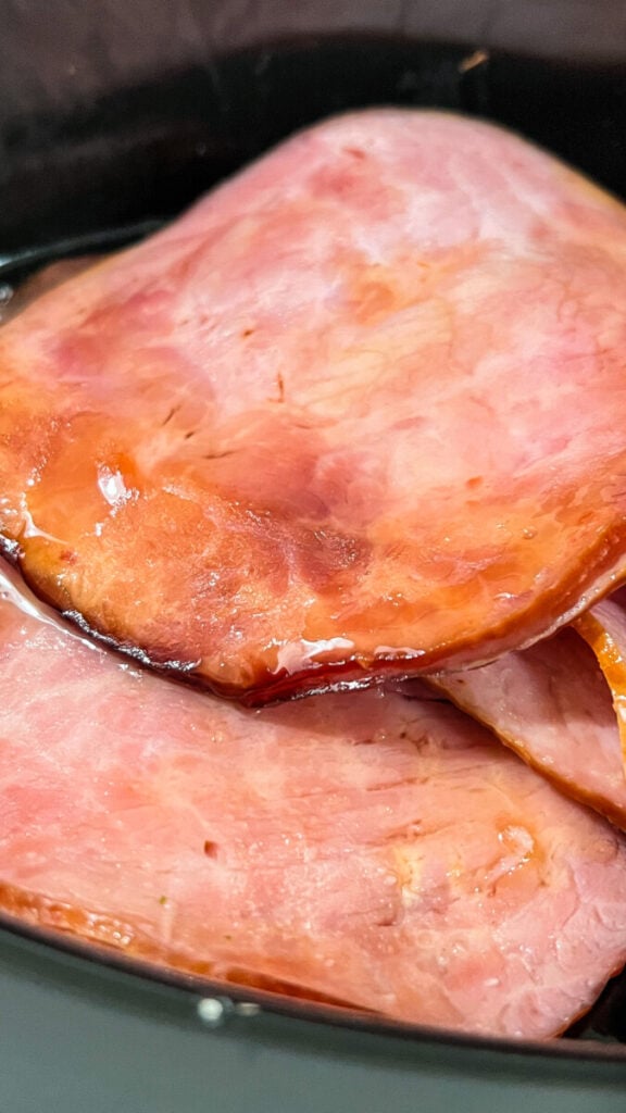  IMG_0074-576x1024 Crockpot Brown Sugar Ham  