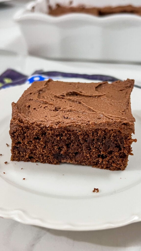  IMG_0150-576x1024 Lunch Lady Brownies  