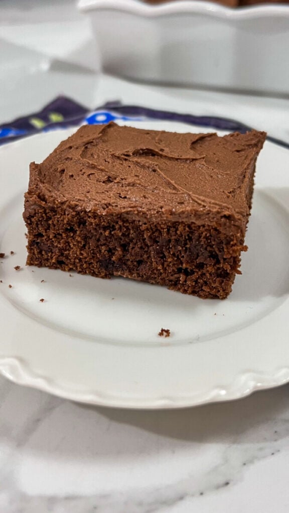  IMG_0151-576x1024 Lunch Lady Brownies  