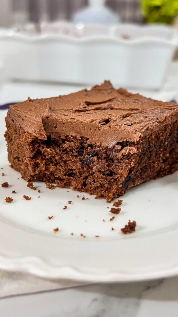  IMG_0172-576x1024 Lunch Lady Brownies  