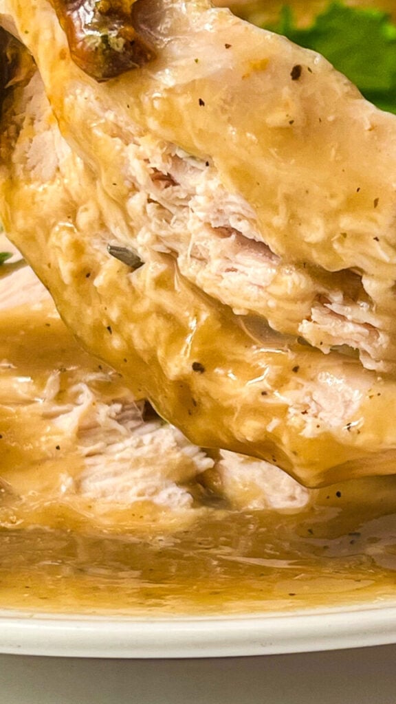 IMG_1404_jpg-576x1024 Turkey Gravy Recipe