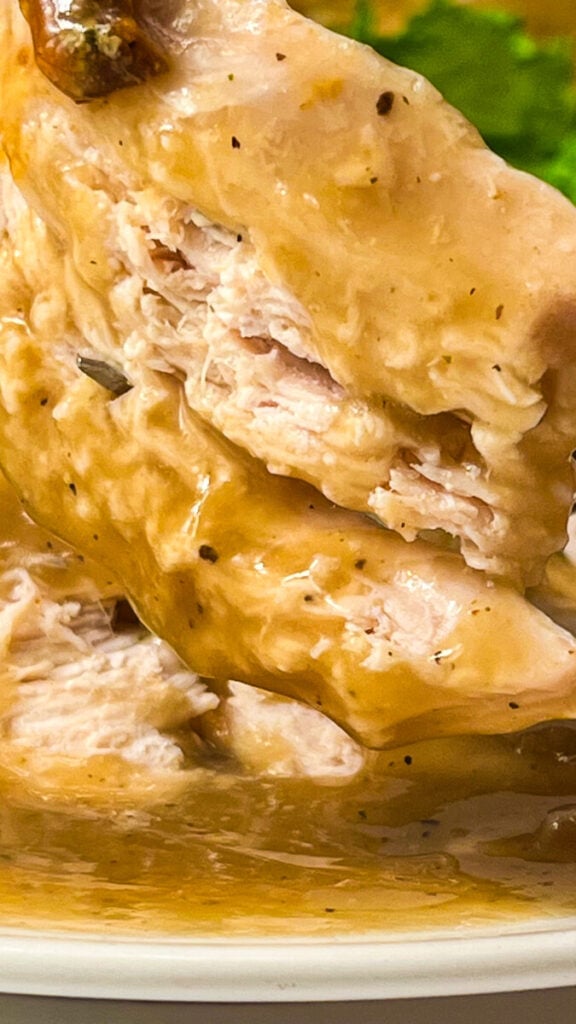 IMG_1405_jpg-576x1024 Turkey Gravy Recipe