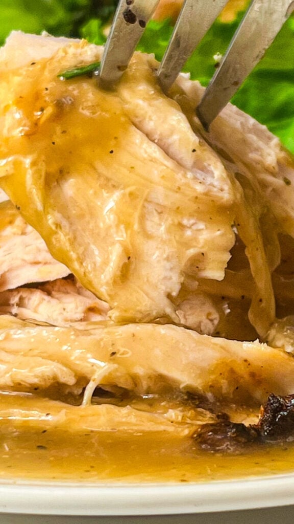 IMG_1407_jpg-576x1024 Turkey Gravy Recipe