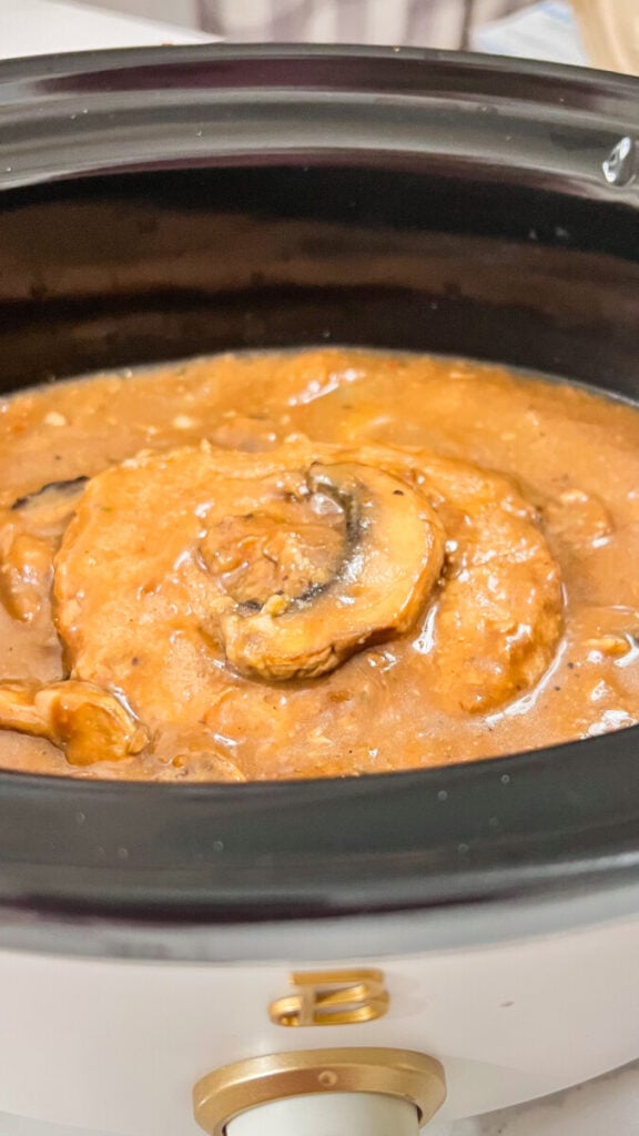 IMG_1953-576x1024 Crock Pot Salisbury Steak Recipe