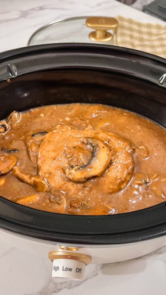 IMG_1960-576x1024 Crock Pot Salisbury Steak Recipe