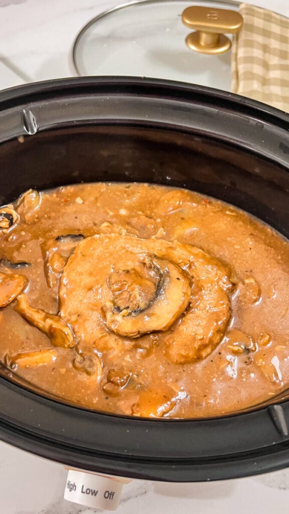 IMG_1963-576x1024 Crock Pot Salisbury Steak Recipe