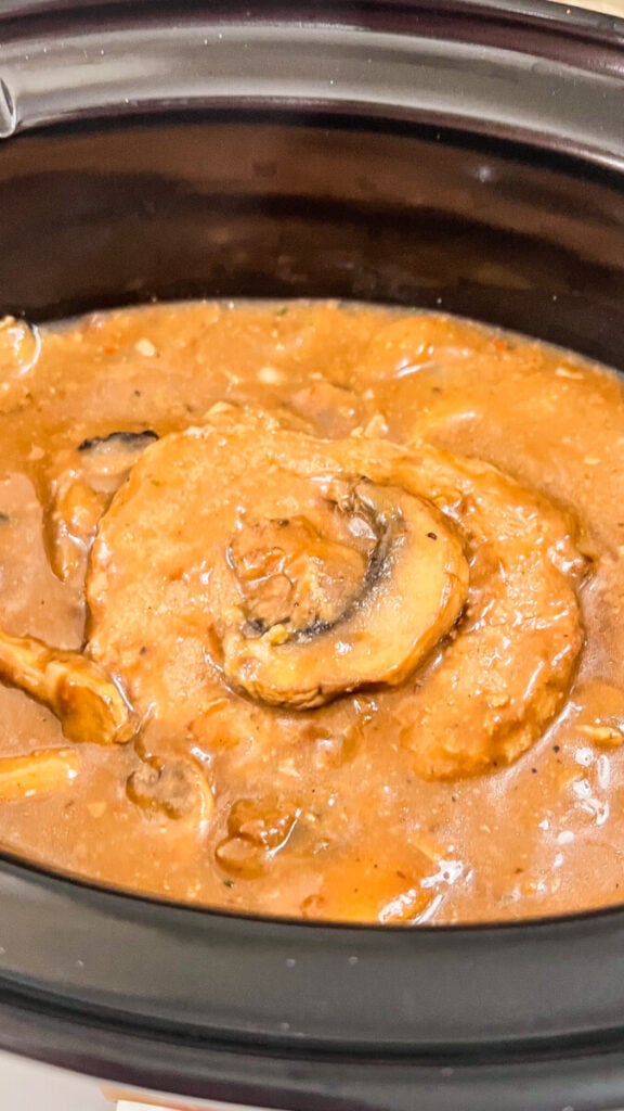 IMG_1964-576x1024 Crock Pot Salisbury Steak Recipe