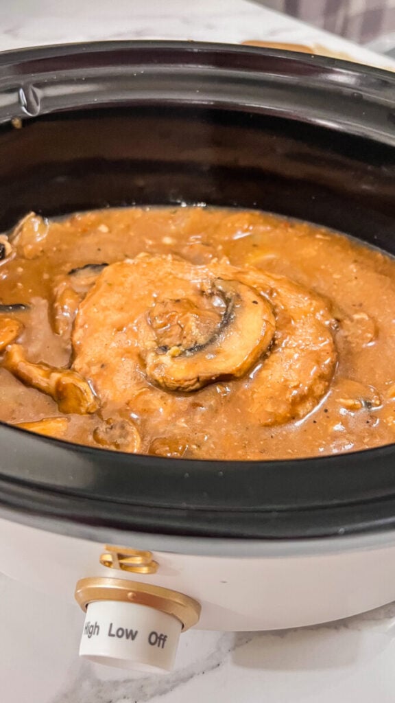 IMG_1965-576x1024 Crock Pot Salisbury Steak Recipe
