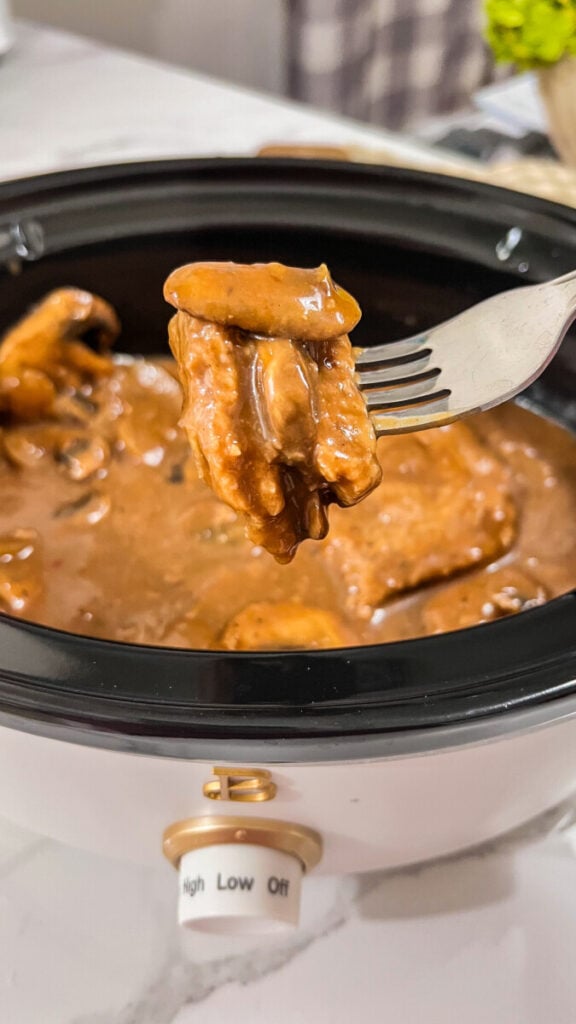 IMG_1976-576x1024 Crock Pot Salisbury Steak Recipe