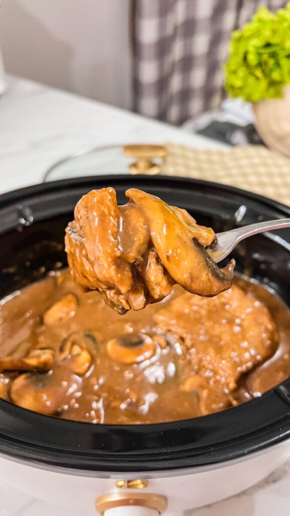 IMG_1981-1-576x1024 Crock Pot Salisbury Steak Recipe