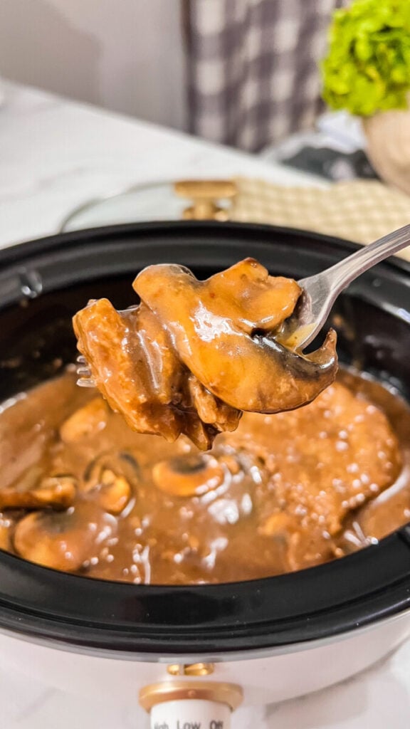 IMG_1982-576x1024 Crock Pot Salisbury Steak Recipe