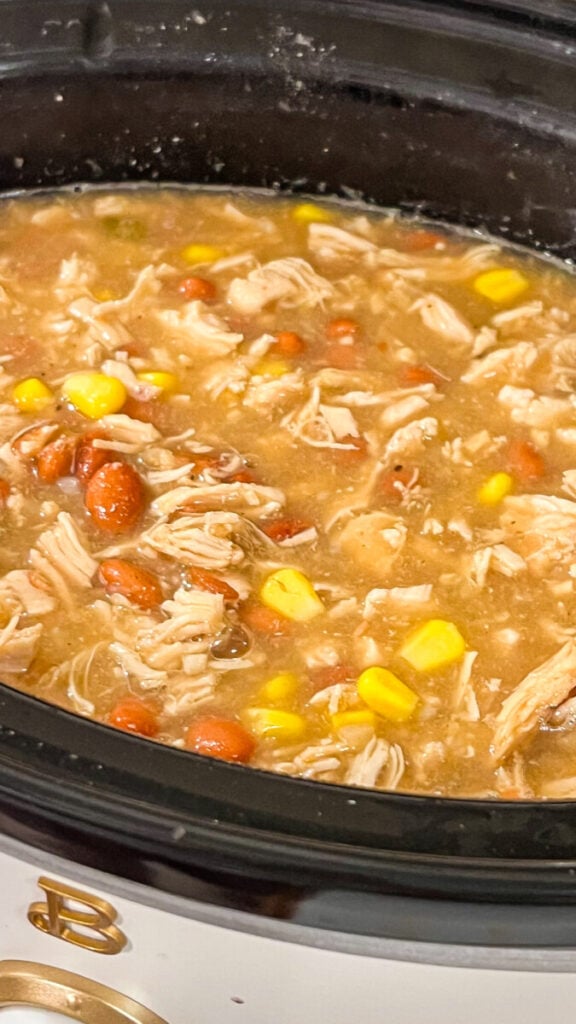 IMG_2366-576x1024 Crock Pot White Chicken Chili Recipe