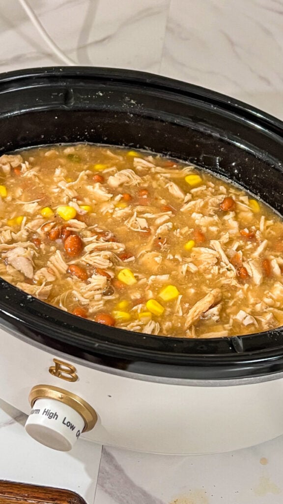 IMG_2369-576x1024 Crock Pot White Chicken Chili Recipe