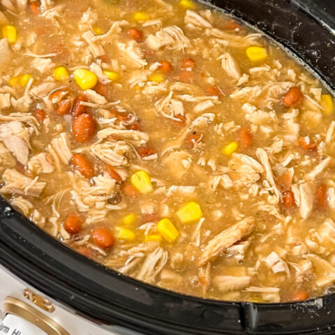  IMG_2370-480x480 Crock Pot White Chicken Chili Recipe  