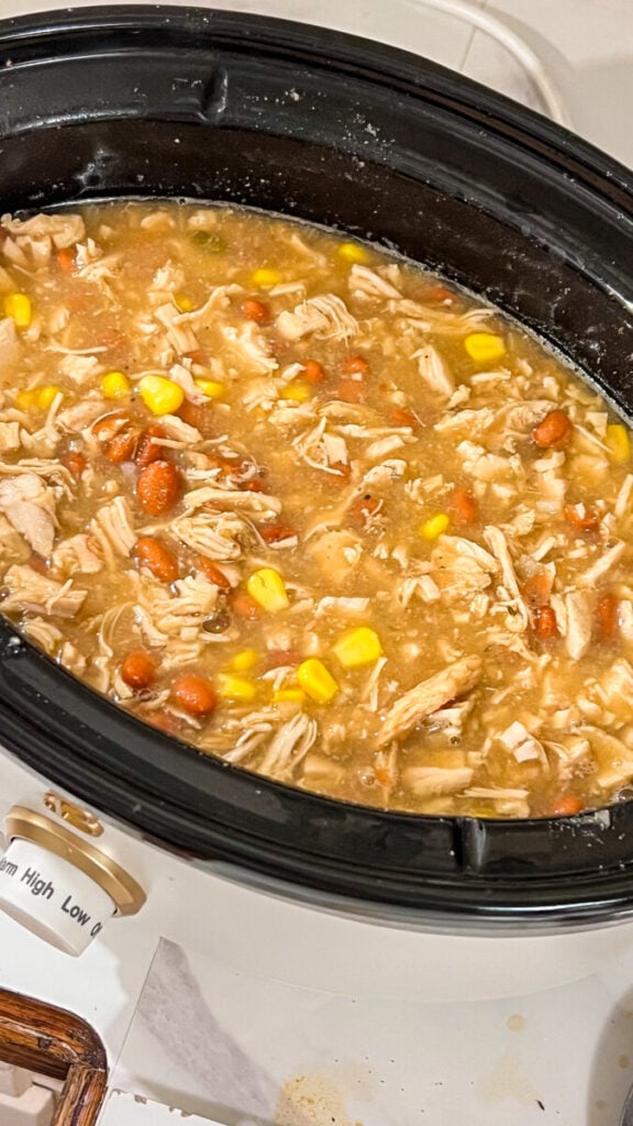 IMG_2370-576x1024 Crock Pot White Chicken Chili Recipe
