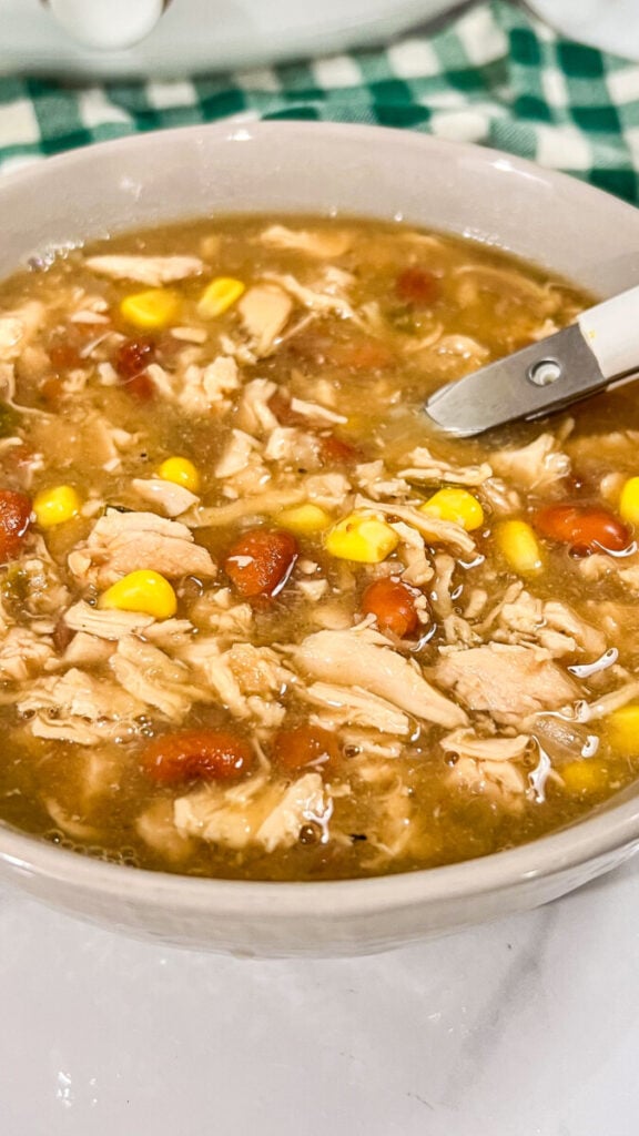 IMG_2387-576x1024 Crock Pot White Chicken Chili Recipe