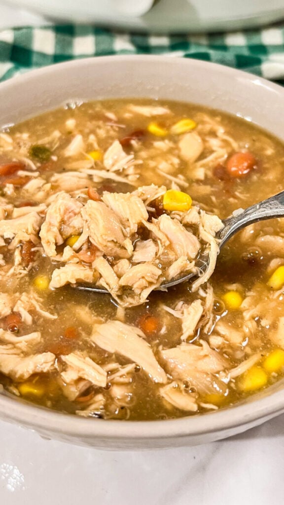 IMG_2388-576x1024 Crock Pot White Chicken Chili Recipe