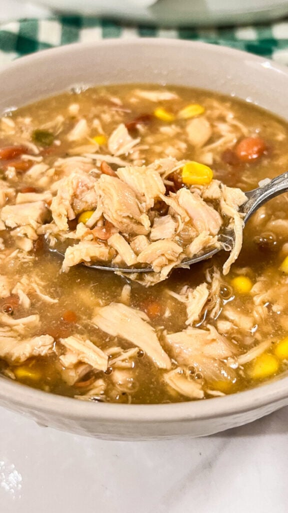 IMG_2389-576x1024 Crock Pot White Chicken Chili Recipe