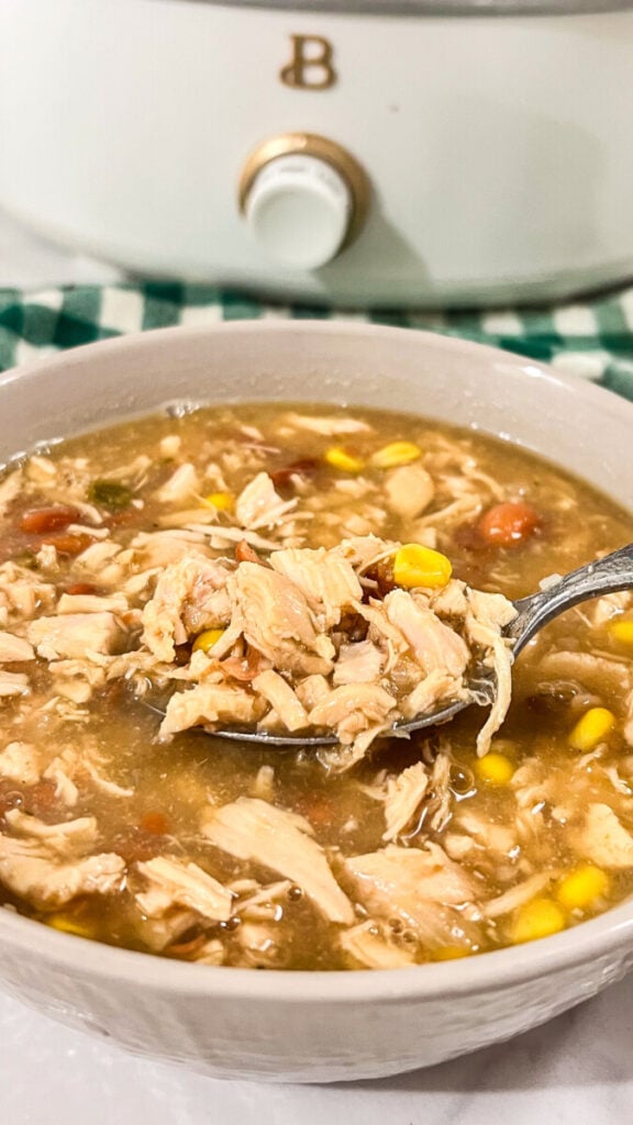 IMG_2390-576x1024 Crock Pot White Chicken Chili Recipe