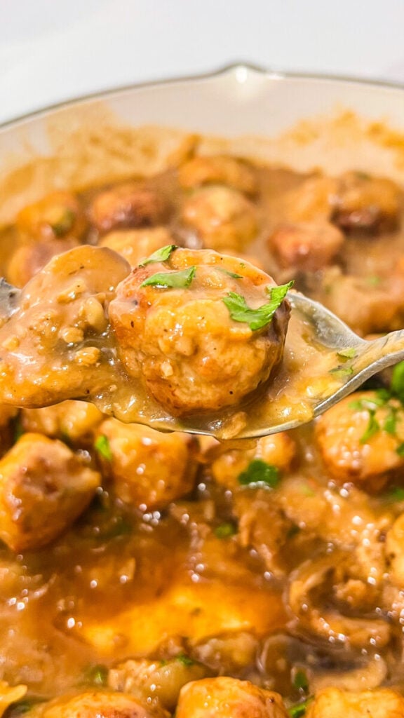 IMG_2741-576x1024 Salisbury Steak Meatballs