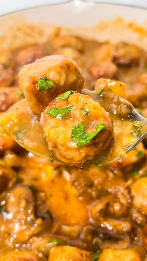 IMG_2743-576x1024 Salisbury Steak Meatballs