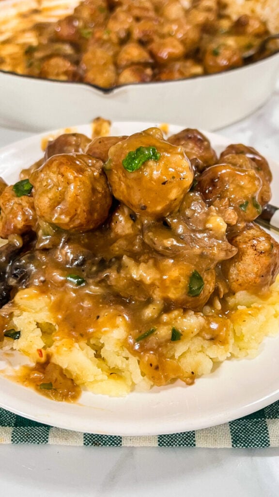 IMG_2762-576x1024 Salisbury Steak Meatballs
