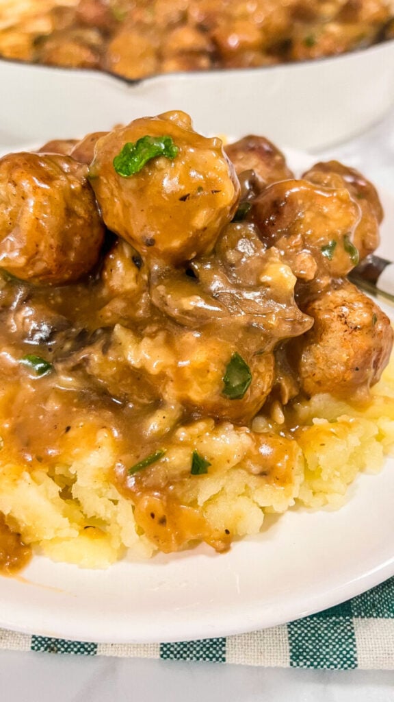 IMG_2764-576x1024 Salisbury Steak Meatballs