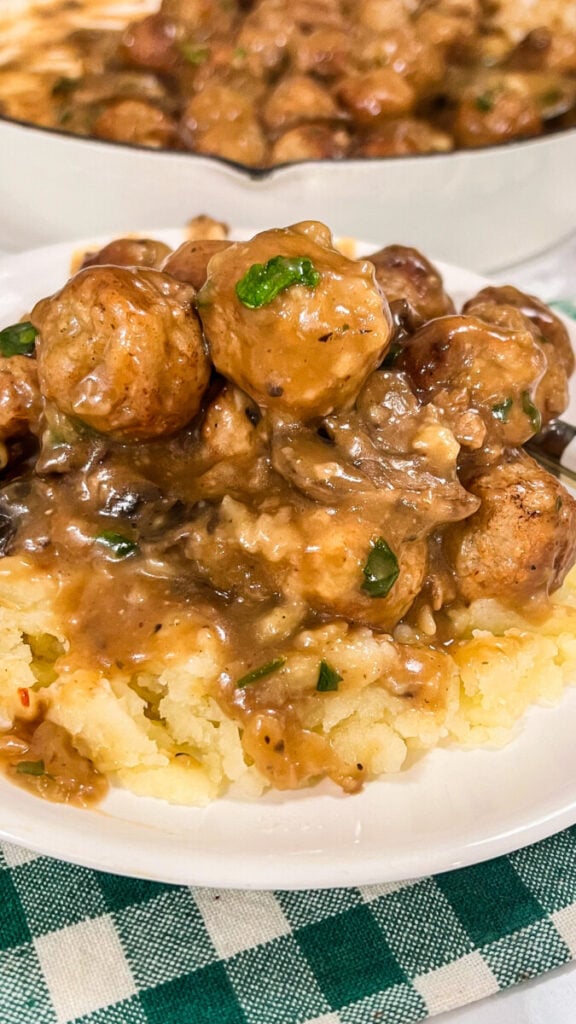 IMG_2767-576x1024 Salisbury Steak Meatballs