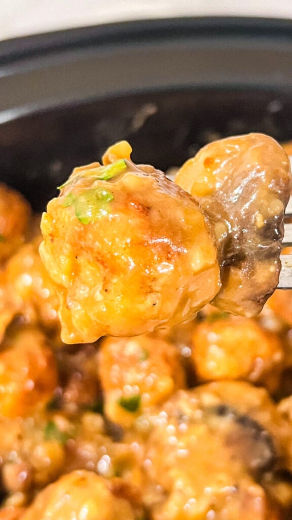 IMG_2834-576x1024 Crock Pot Salisbury Steak Meatballs
