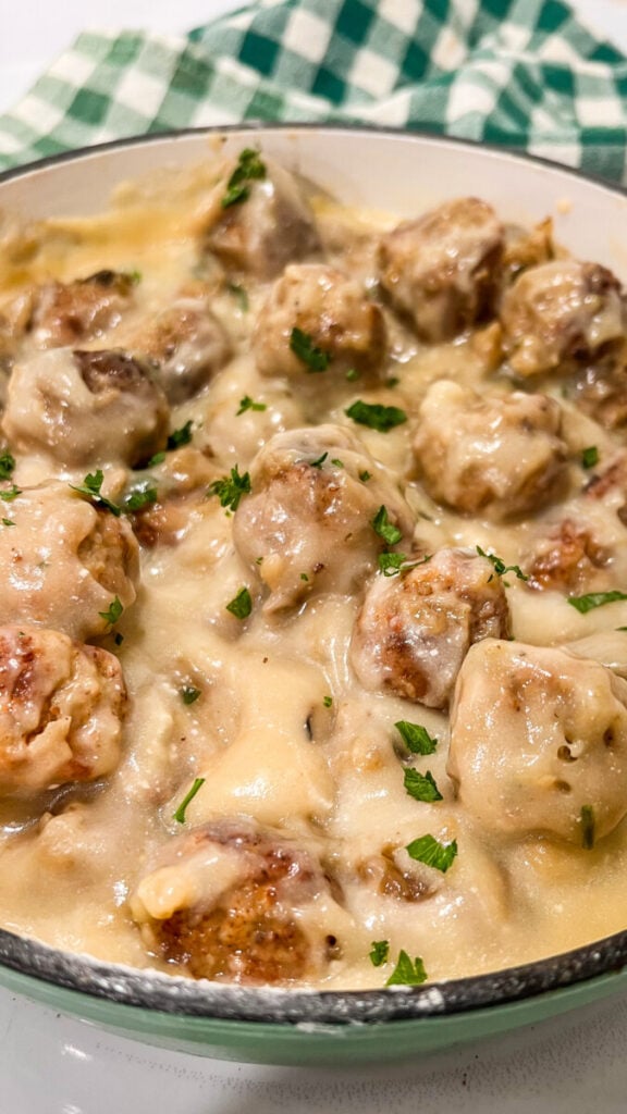 IMG_2906-576x1024 Swedish Meatballs