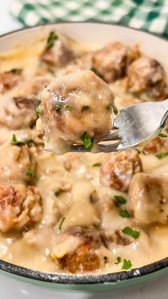 IMG_2942-576x1024 Swedish Meatballs