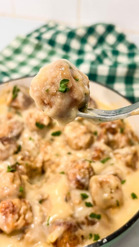 IMG_2948-576x1024 Swedish Meatballs