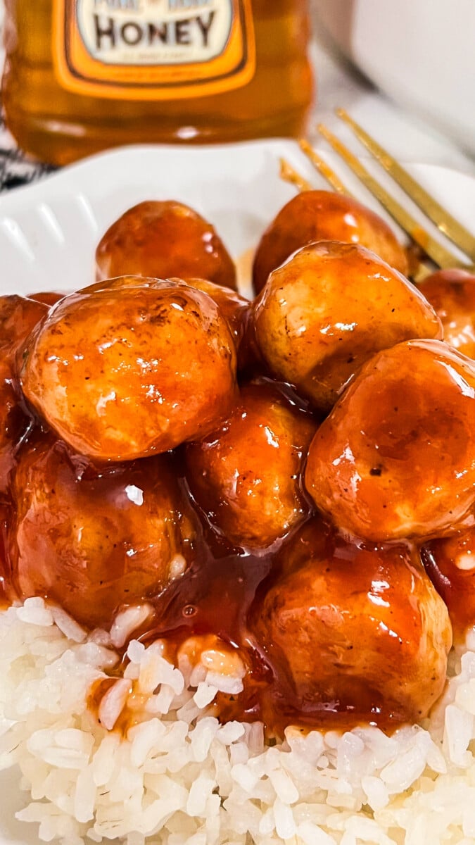  IMG_3719 Honey BBQ Crock Pot Meatballs  