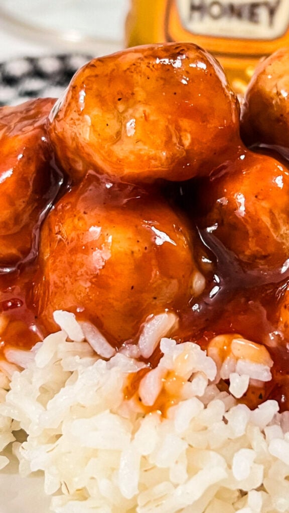  IMG_3727-576x1024 Honey BBQ Crock Pot Meatballs  